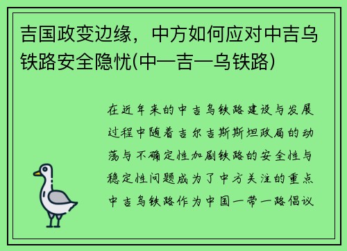 吉国政变边缘，中方如何应对中吉乌铁路安全隐忧(中—吉—乌铁路)